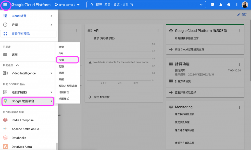 Google Maps Platform API 檢視