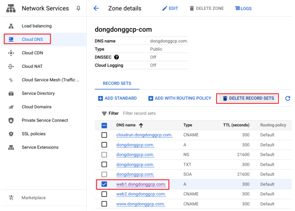 Google Cloud 刪除 DNS 記錄