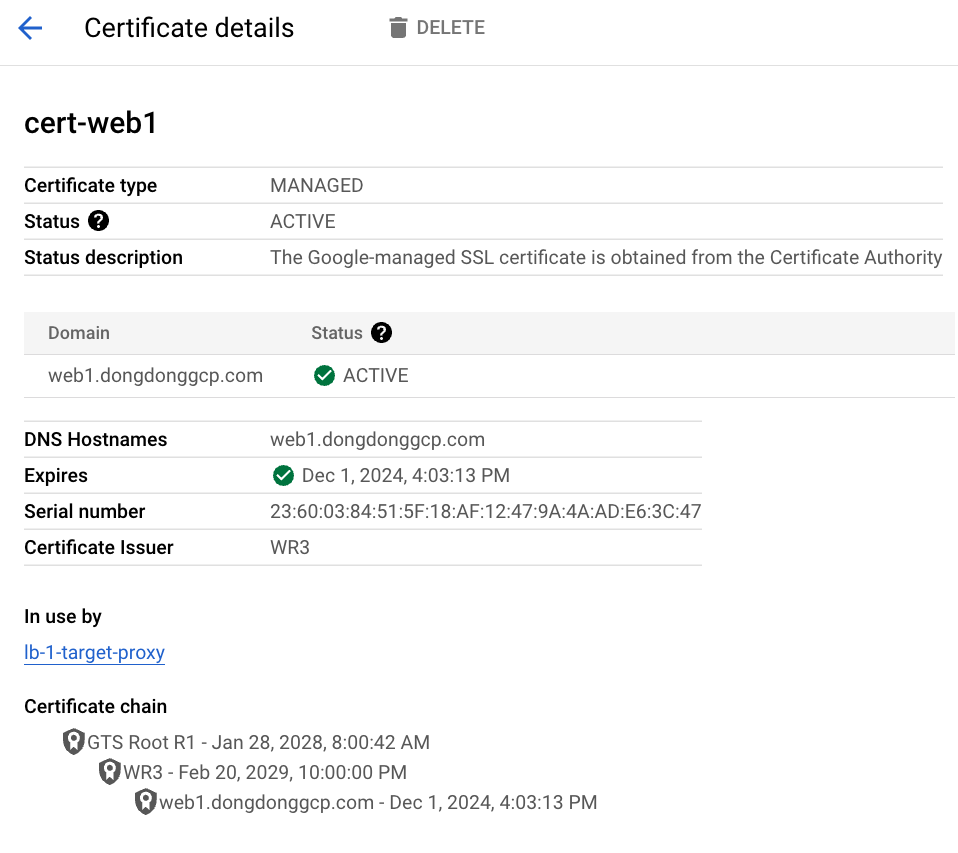 Google Cloud - 憑證變成 Active 狀態
