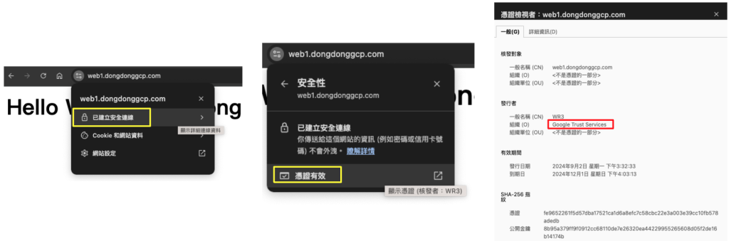 Google Cloud - 從 Chrome 瀏覽器查到憑證是有效的